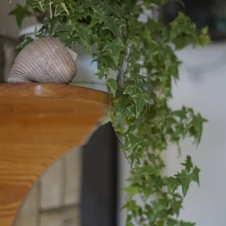 Planika - Two Bedroom With Terrace And Sea View Casa vacanze *