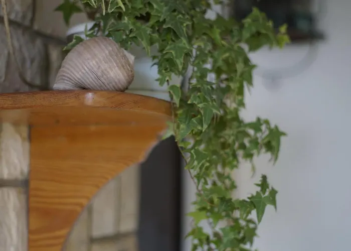 Planika - Two Bedroom With Terrace And Sea View Nyaraló *